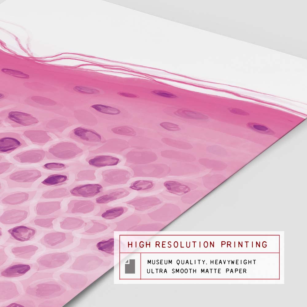 Parakeratosis pathology art print