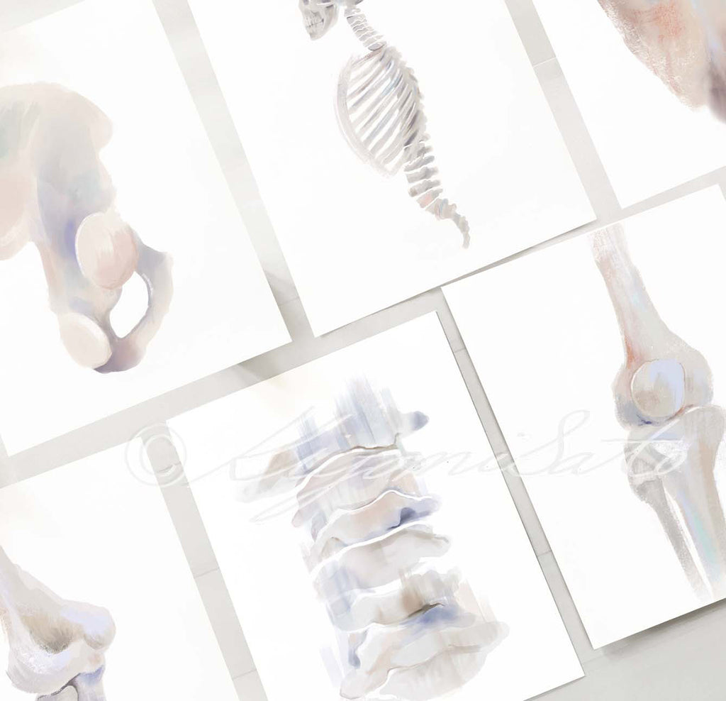 Physical Therapy Orthopedics Gallery Art poster set of 6