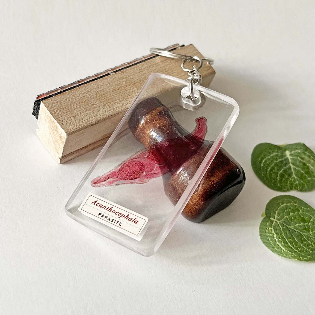 Acanthocephala Parasite Keychain