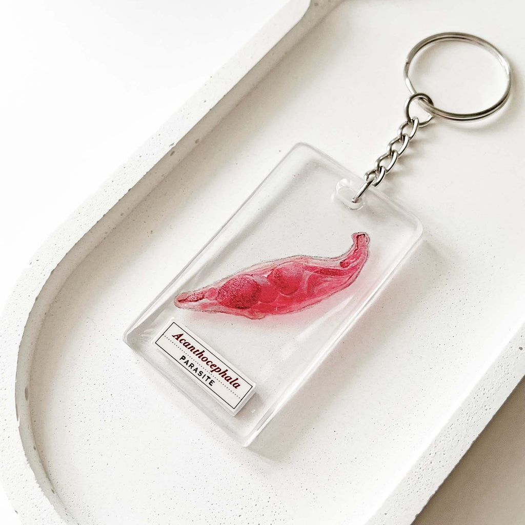 Acanthocephala Parasite Keychain