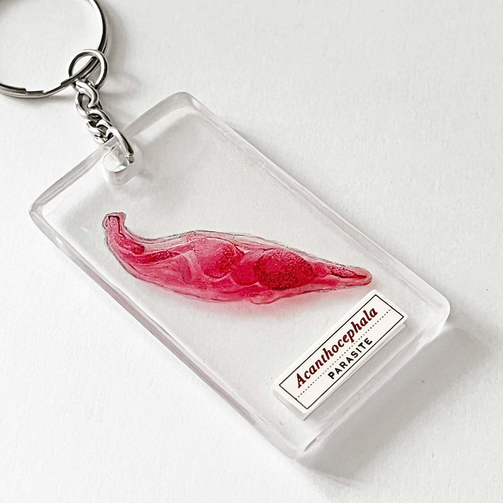Acanthocephala Parasite Keychain