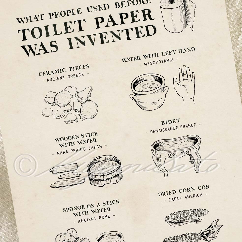 What People Used Before Toilet Paper Was Invented