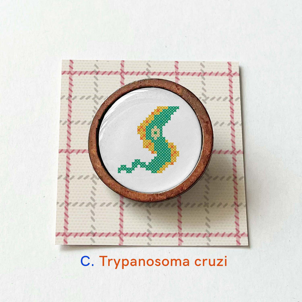 Parasite pin with wooden frame