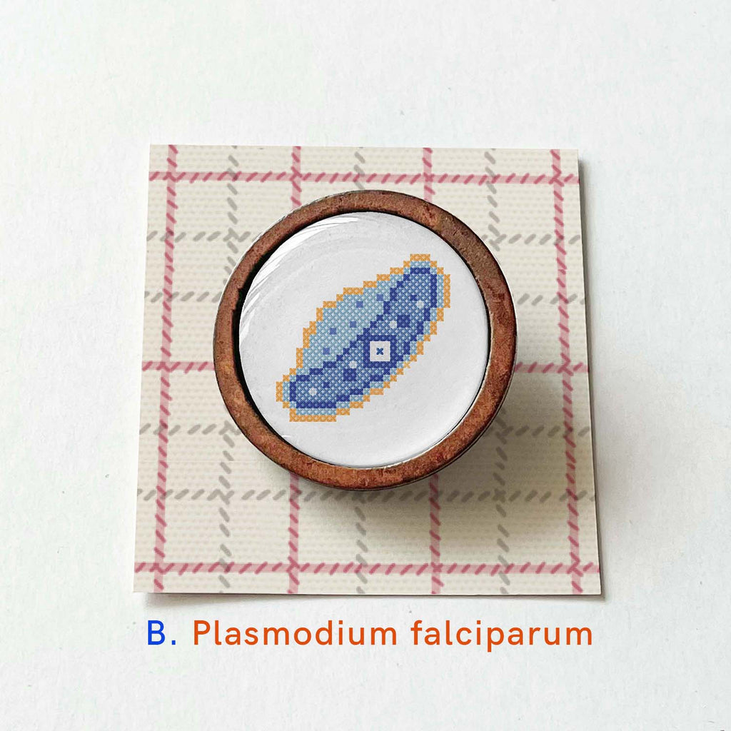 Parasite pin with wooden frame