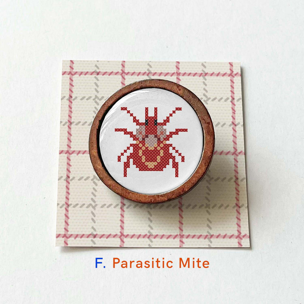 Parasite pin with wooden frame