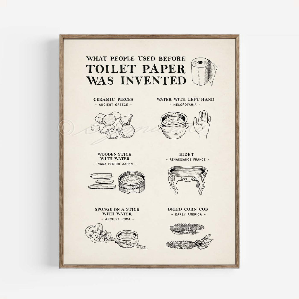 What People Used Before Toilet Paper Was Invented