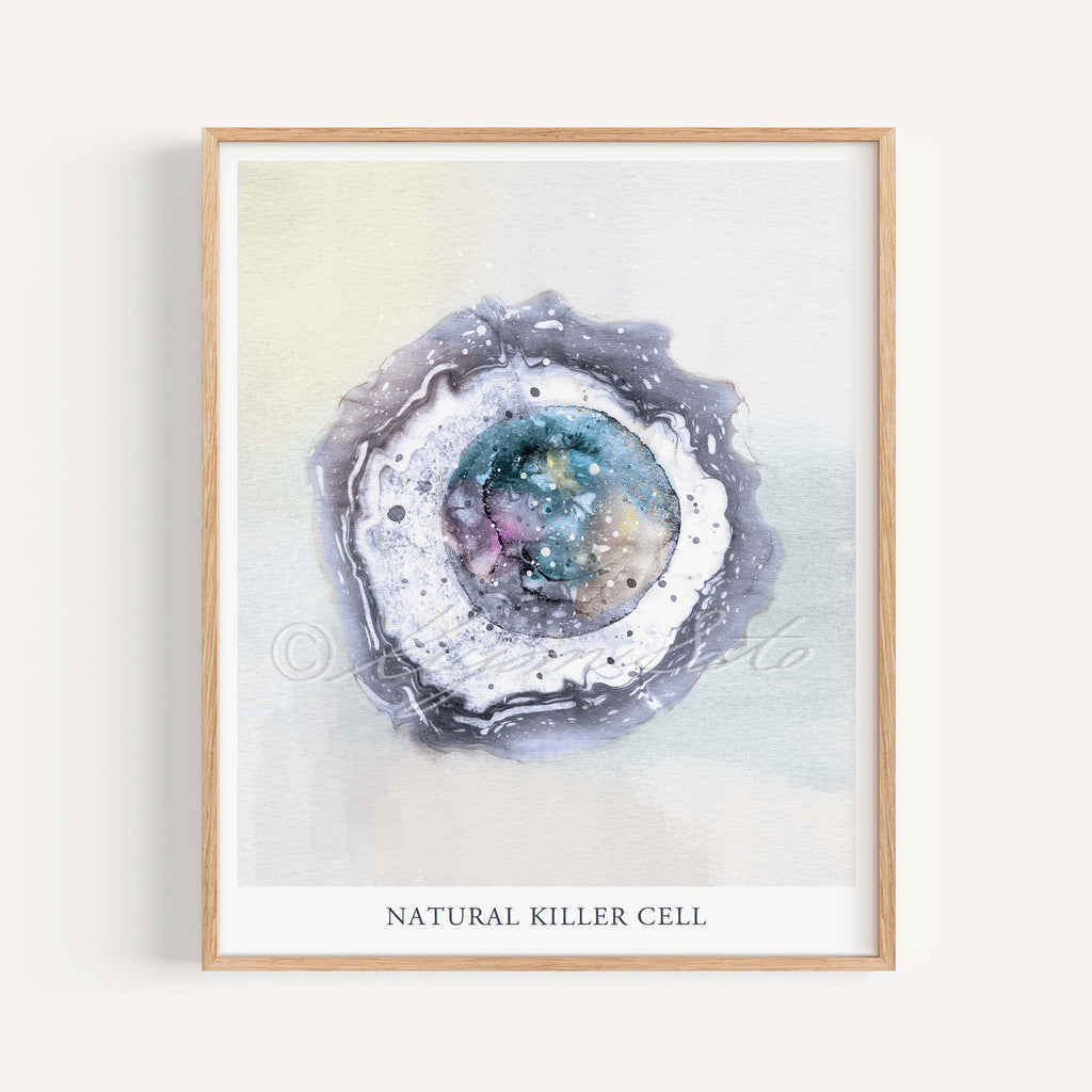 Natural Killer Cell