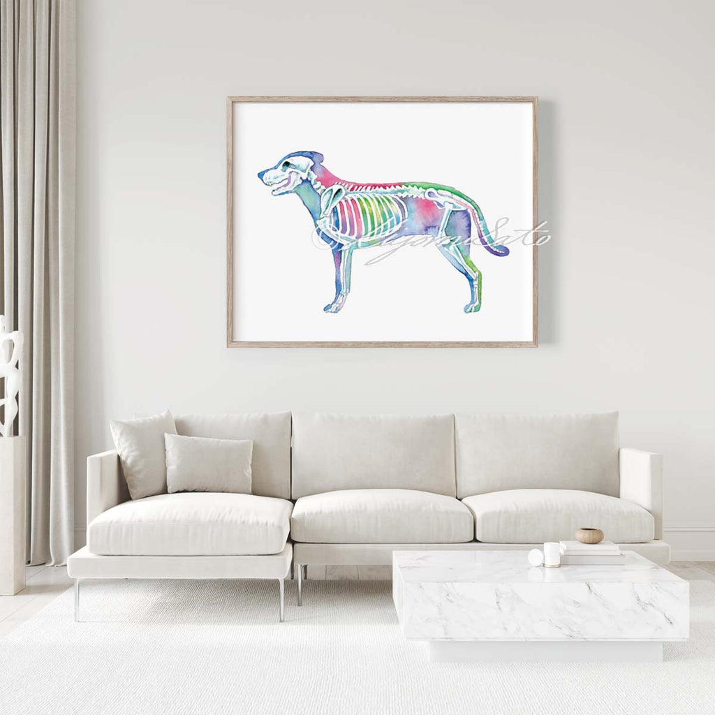 Dog Skeletal System Horizontal Art