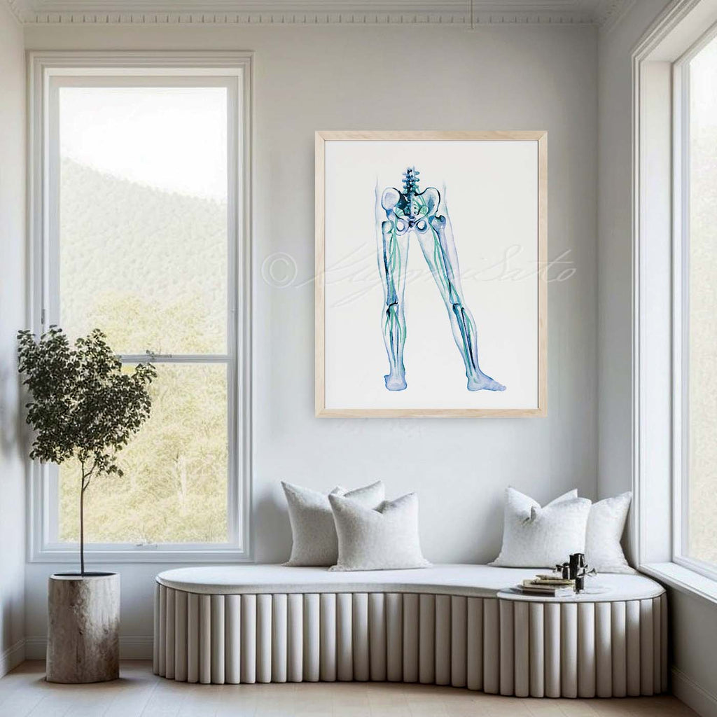 Sciatic Nerves in legs Art Poster