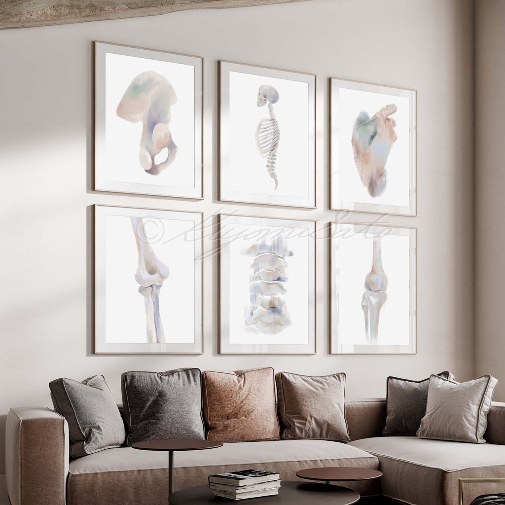 Physical Therapy Orthopedics Gallery Art poster set of 6