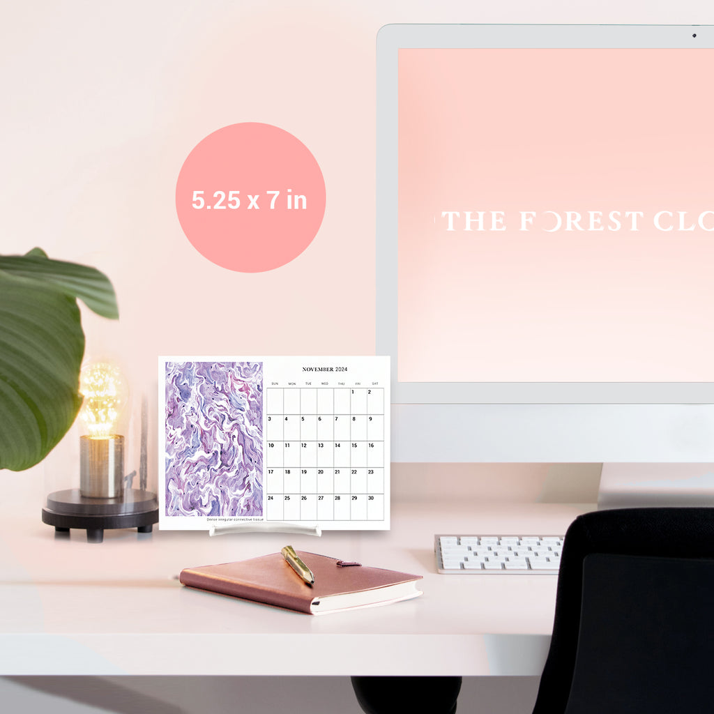 2024 Human Body Histology Art Desk Calendar