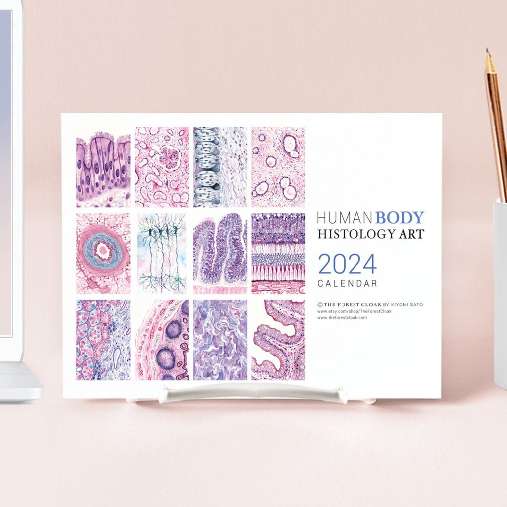 2024 Human Body Histology Art Desk Calendar