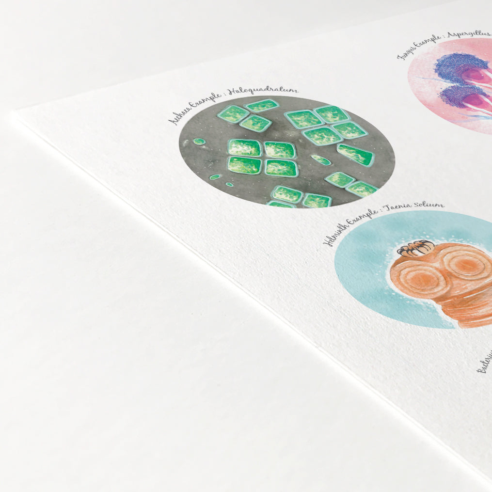 Six Types of Microorganisms Collection
