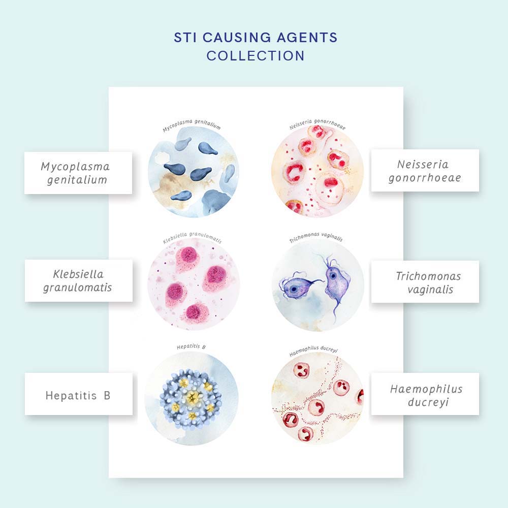 STI Causing Agents Collection