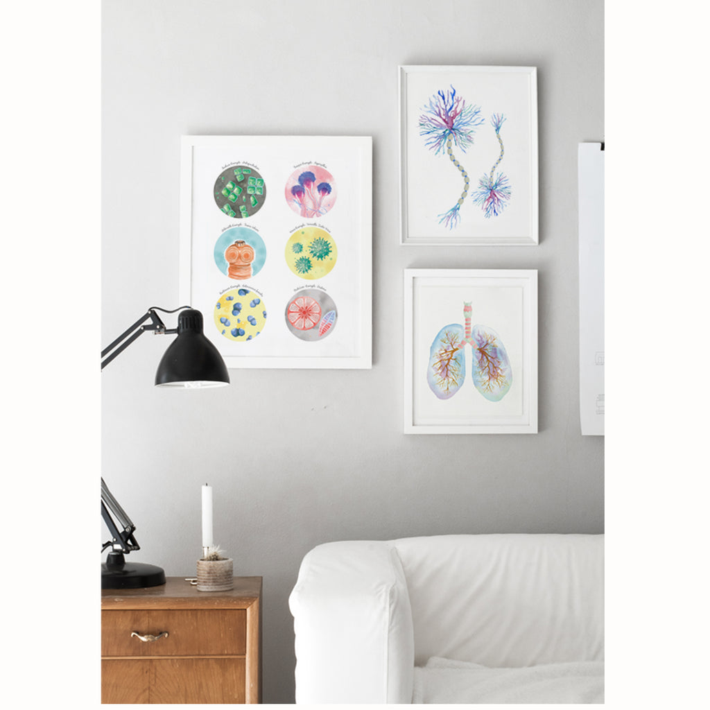 Six Types of Microorganisms Collection