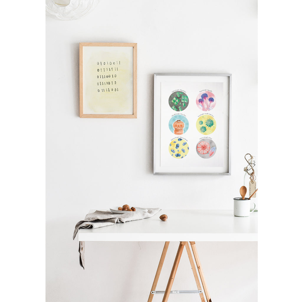 Six Types of Microorganisms Collection