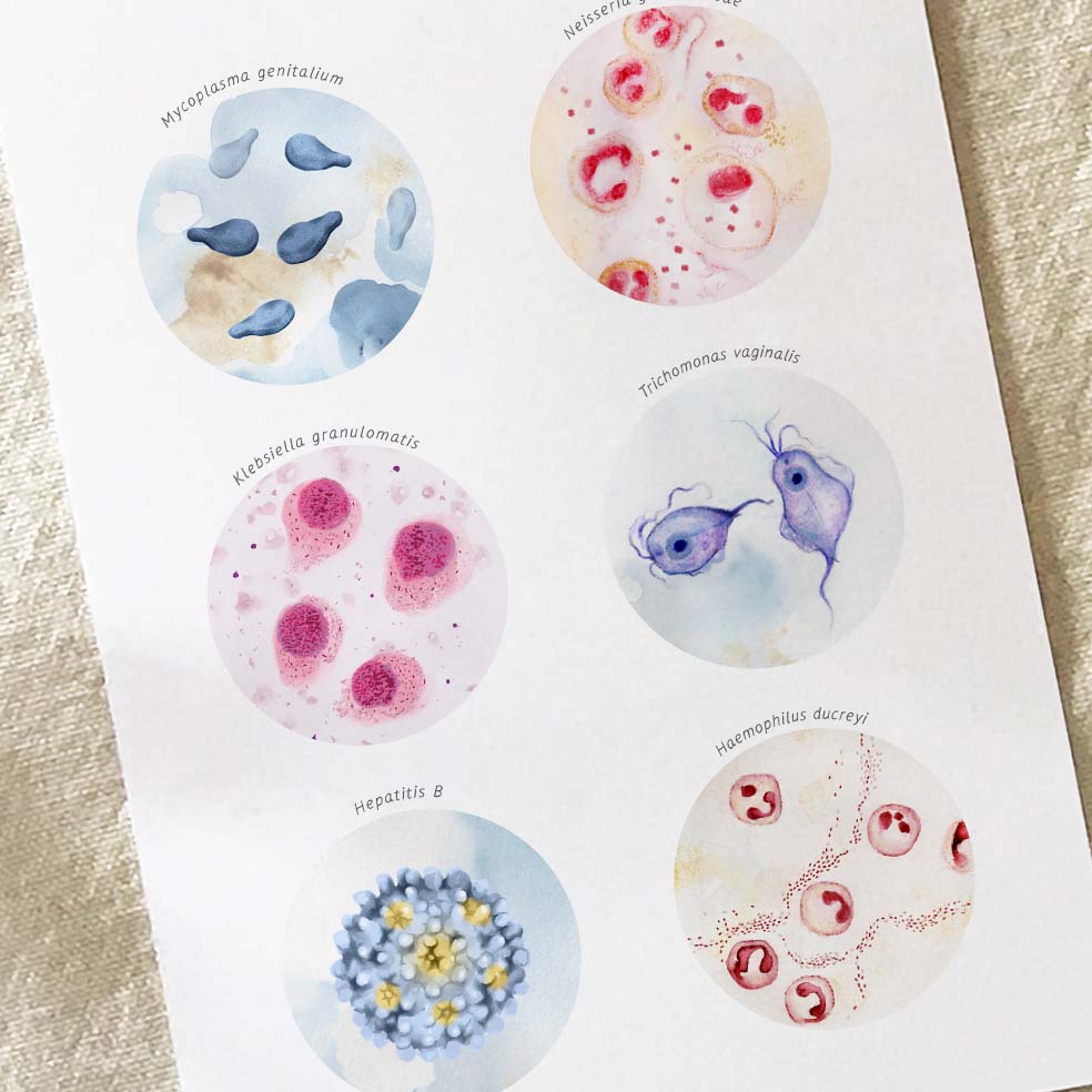 STI Causing Agents Collection
