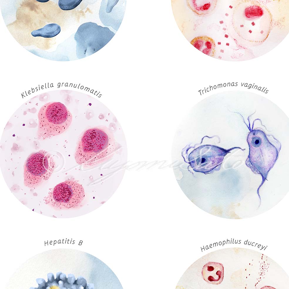 STI Causing Agents Collection