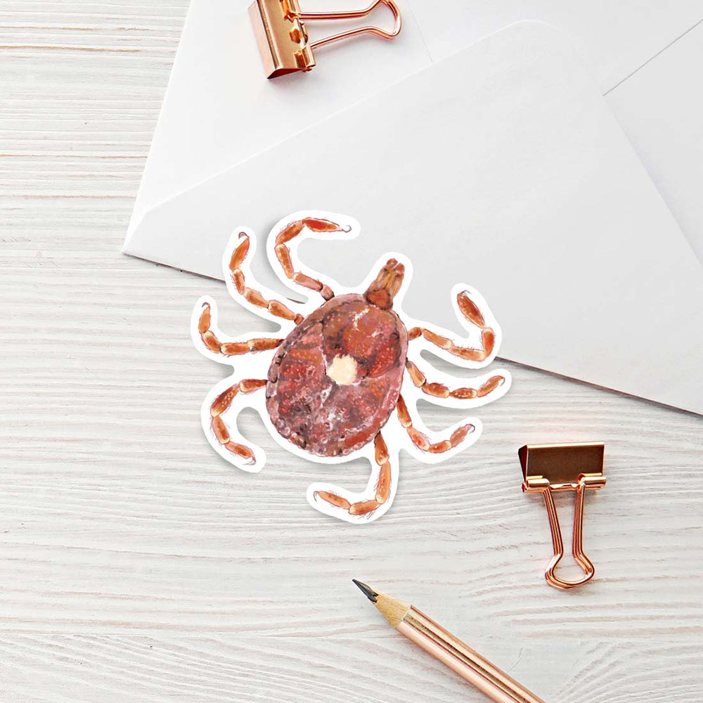 Lone Star Tick Sticker