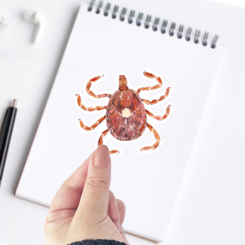 Lone Star Tick Sticker