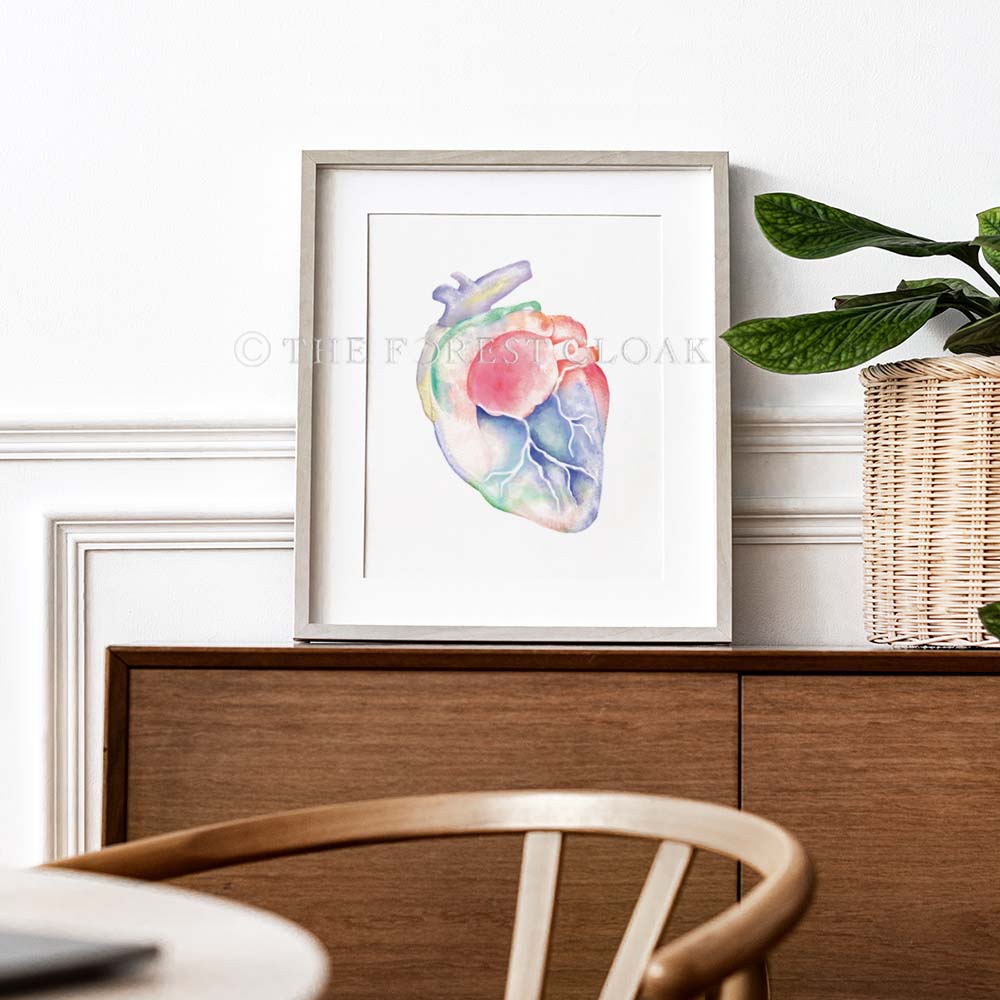 Feline Heart Anatomy Art