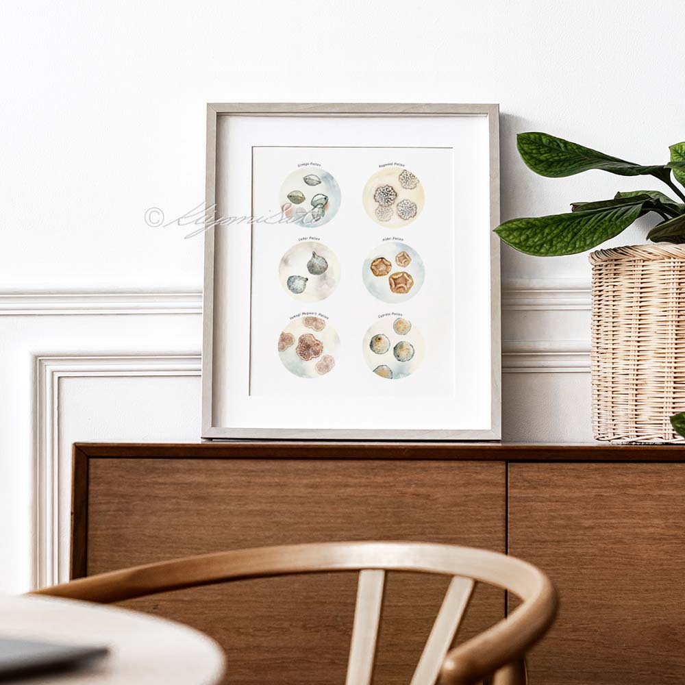 Pollen Collection