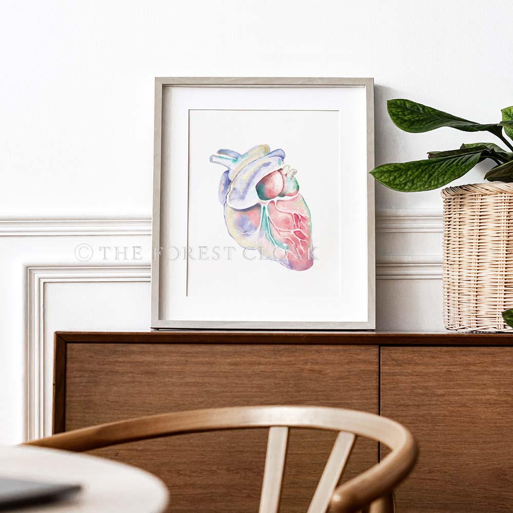 Canine Heart Anatomy Art