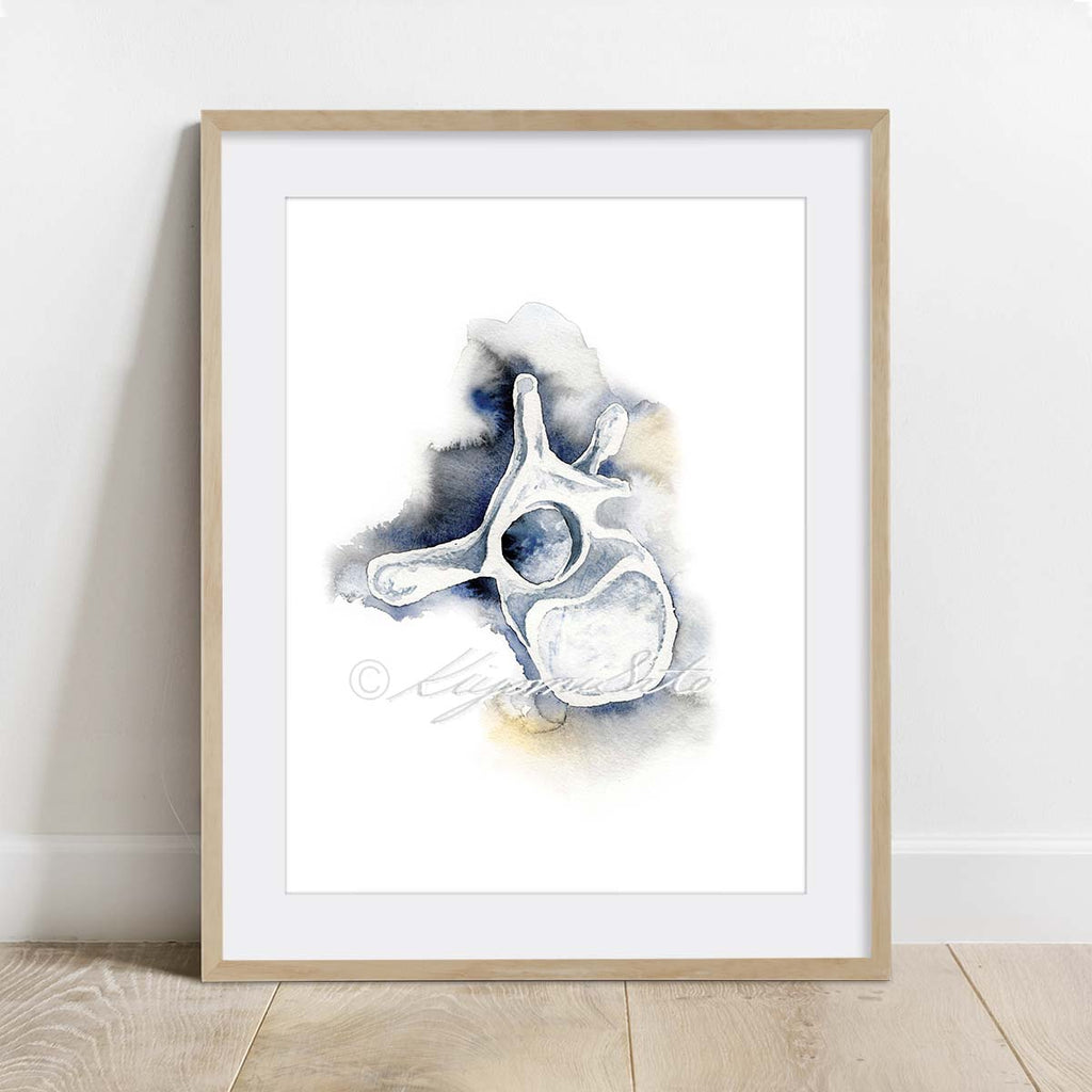 Vertebrae Gallery Art poster set of 6, Orthopedics Art