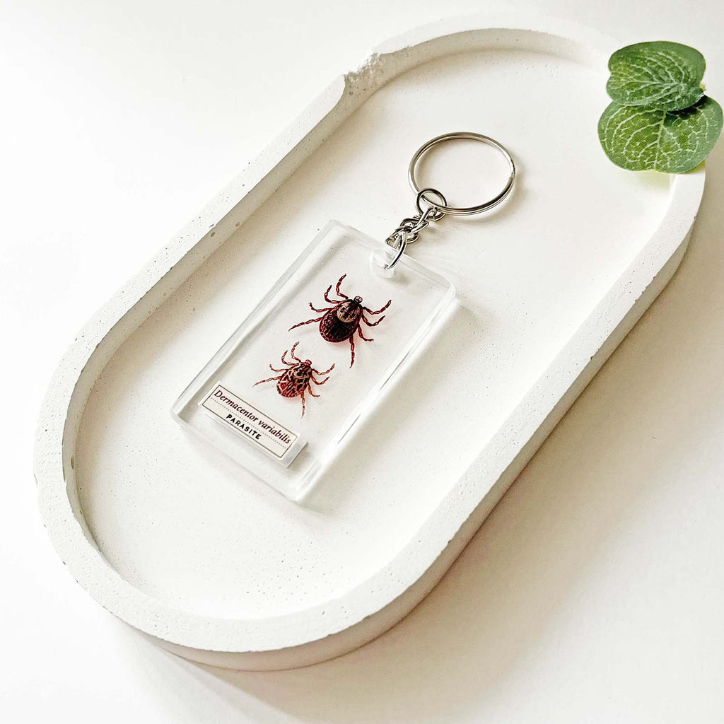 Tick Keychain