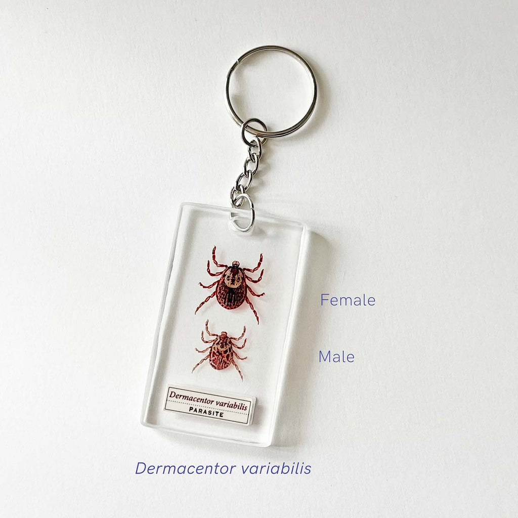 Tick Keychain