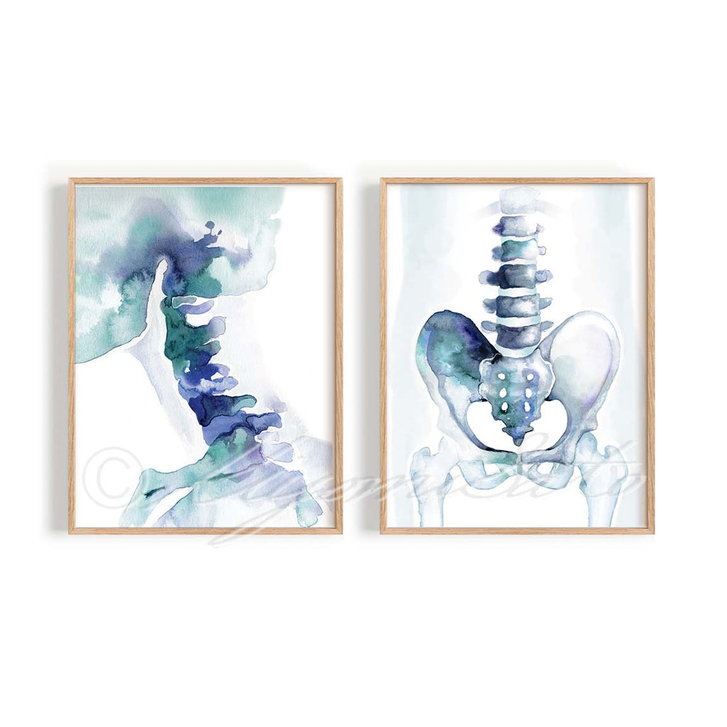 Cervical Spine and Pelvic Girdle Abstract Art