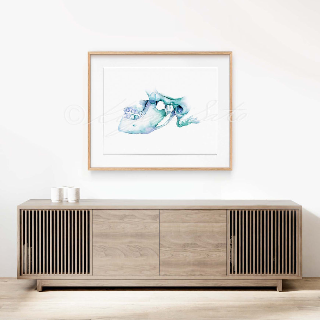 TMJ and Ligament Art Print