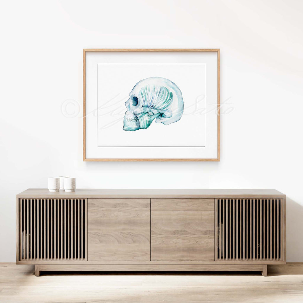 Masseter muscle and Temporomandibular TMJ art