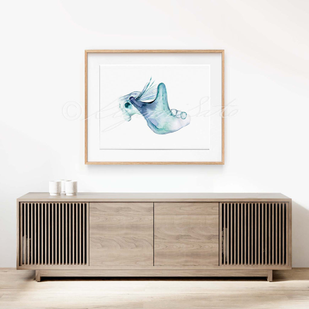 Temporomandibular joint art