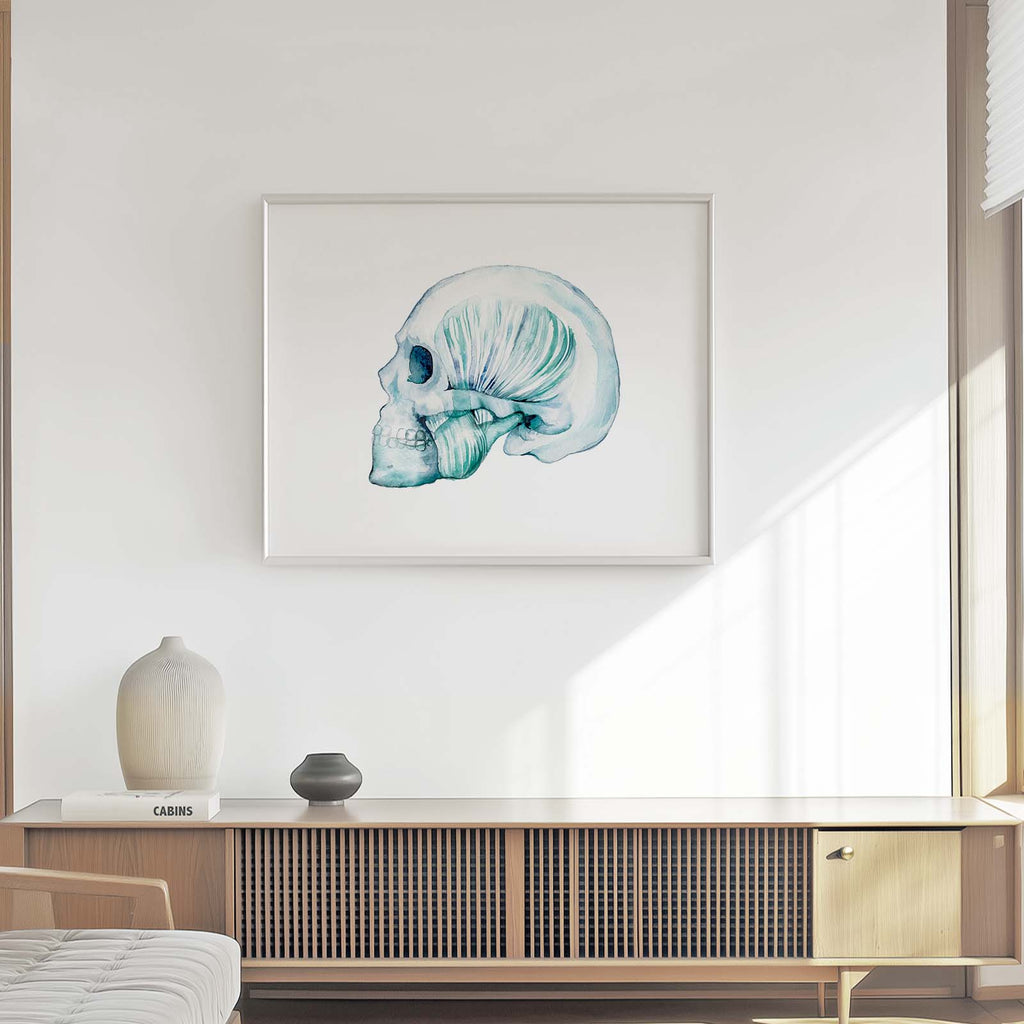 Masseter muscle and Temporomandibular TMJ art