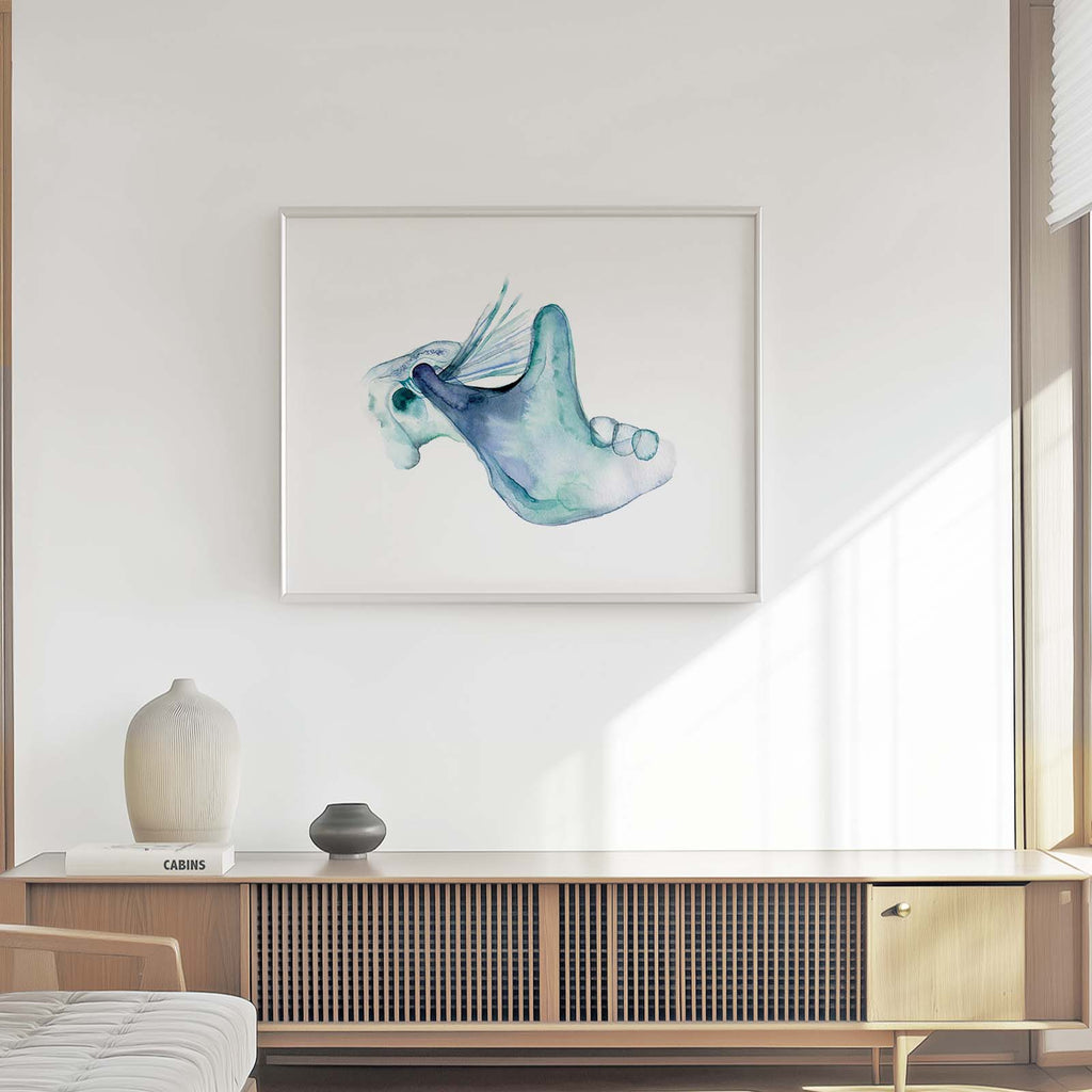 Temporomandibular joint art