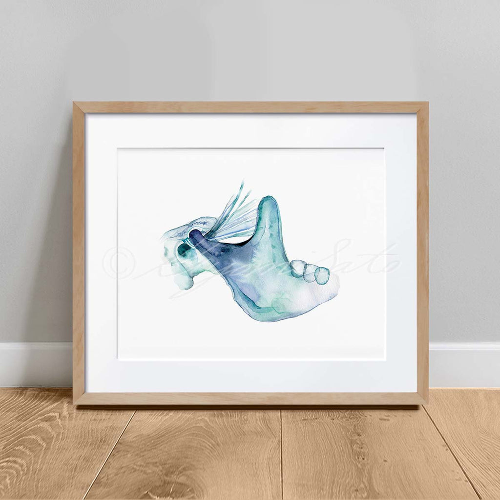 TMJ Art Print set of 4