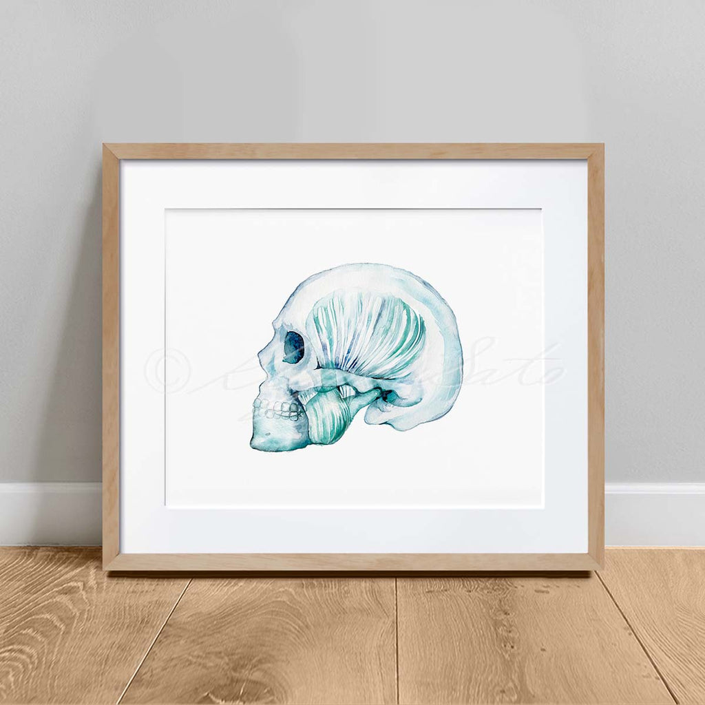 Masseter muscle and Temporomandibular TMJ art