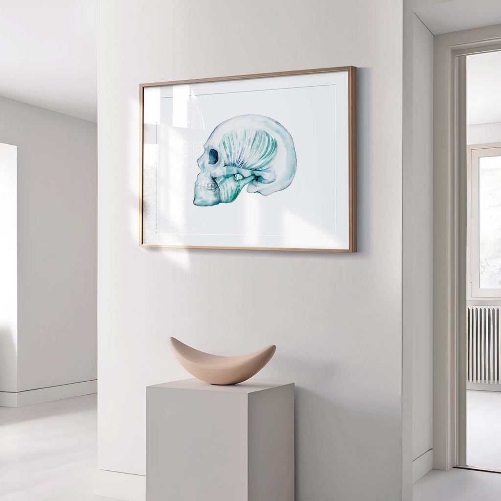 Masseter muscle and Temporomandibular TMJ art