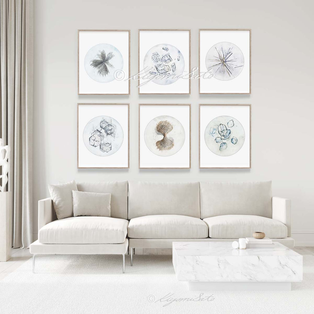 Urine Crystals Gallery Poster Set of 6