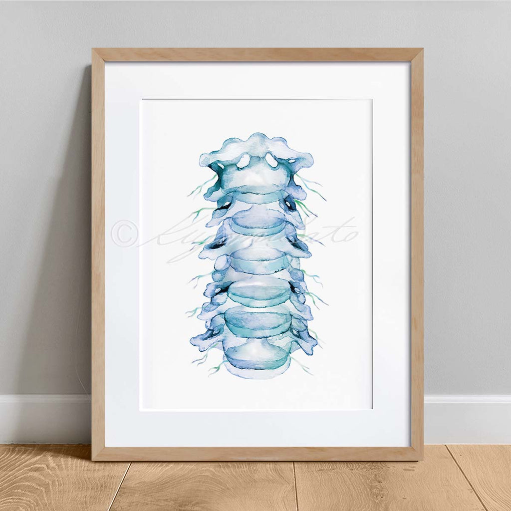 Spinal Nerves Art Set of 3