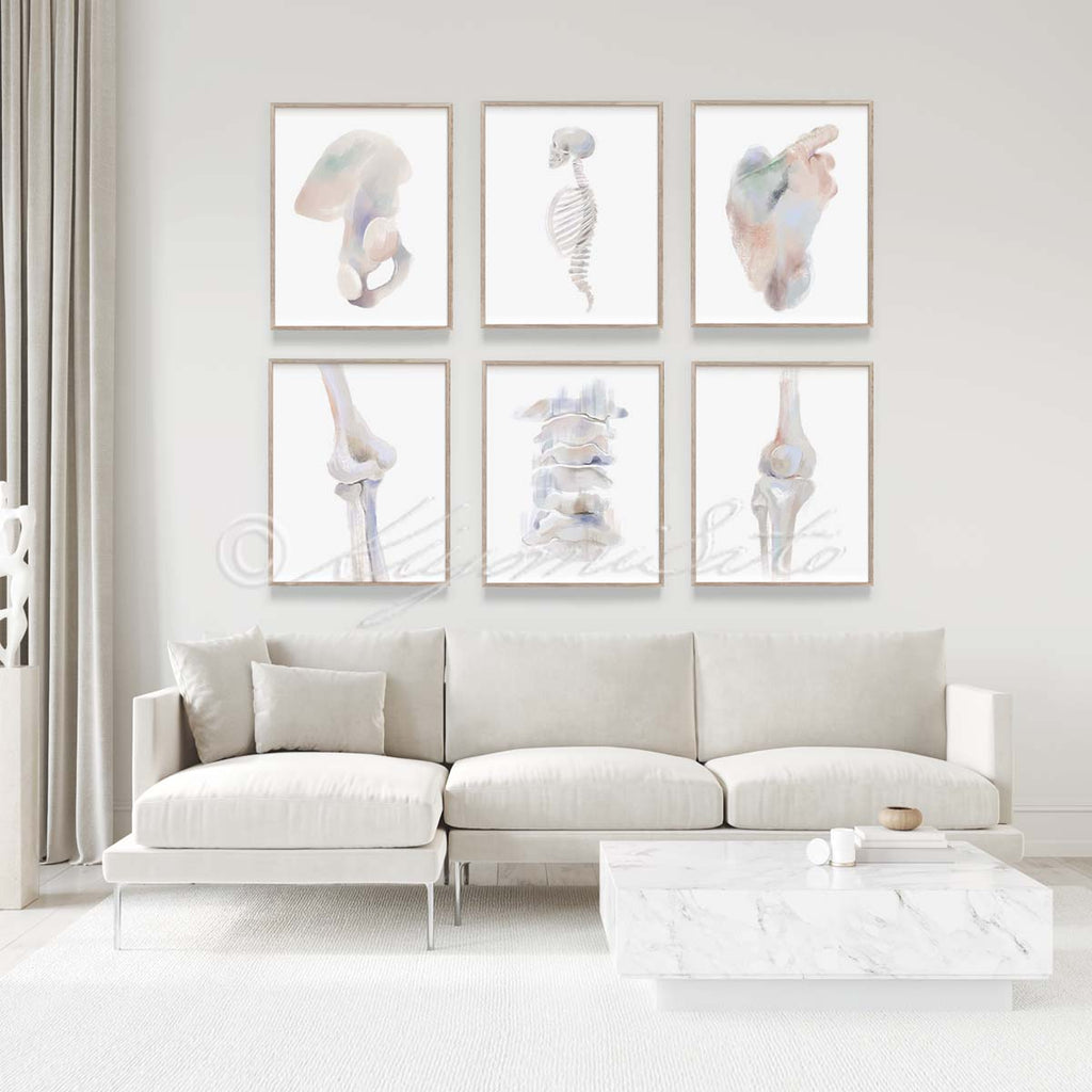 Physical Therapy Orthopedics Gallery Art poster set of 6