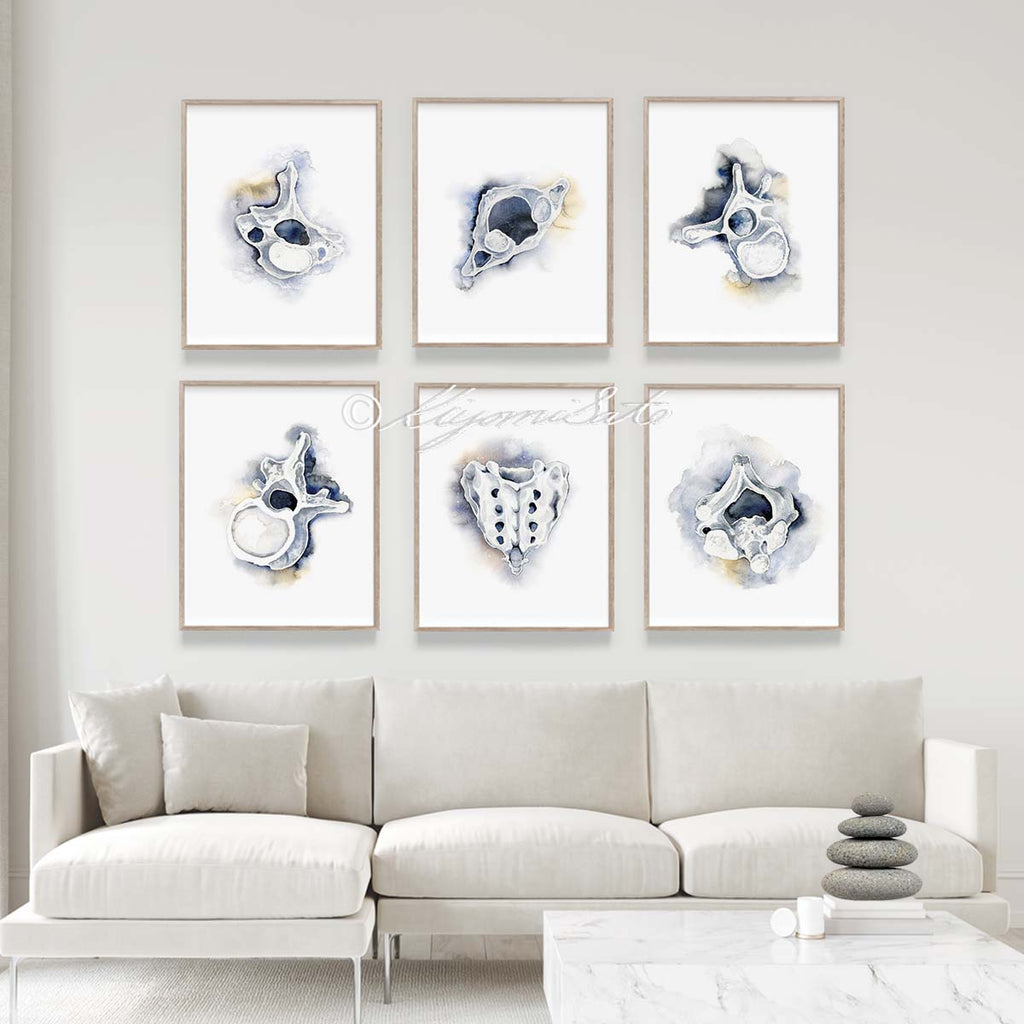 Vertebrae Gallery Art poster set of 6, Orthopedics Art