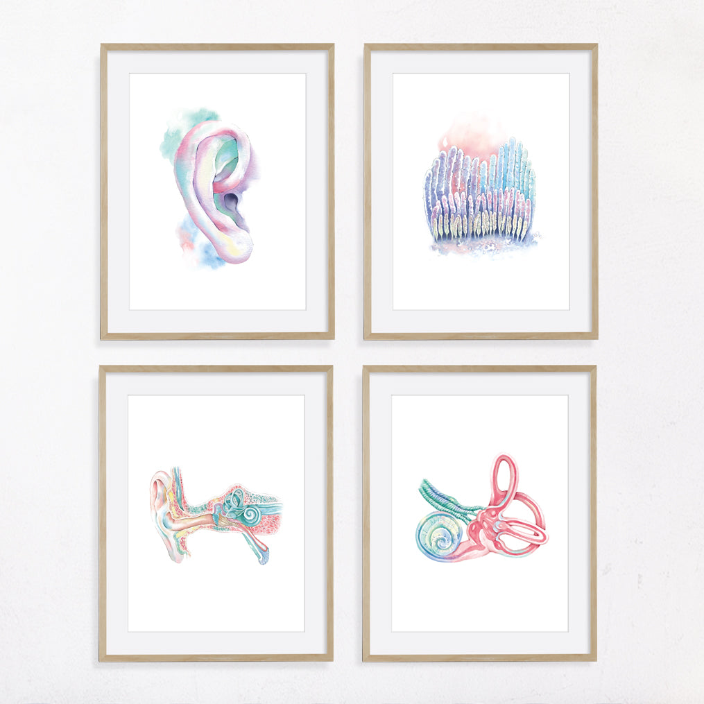 Ear Otolaryngologist Art 4 print set