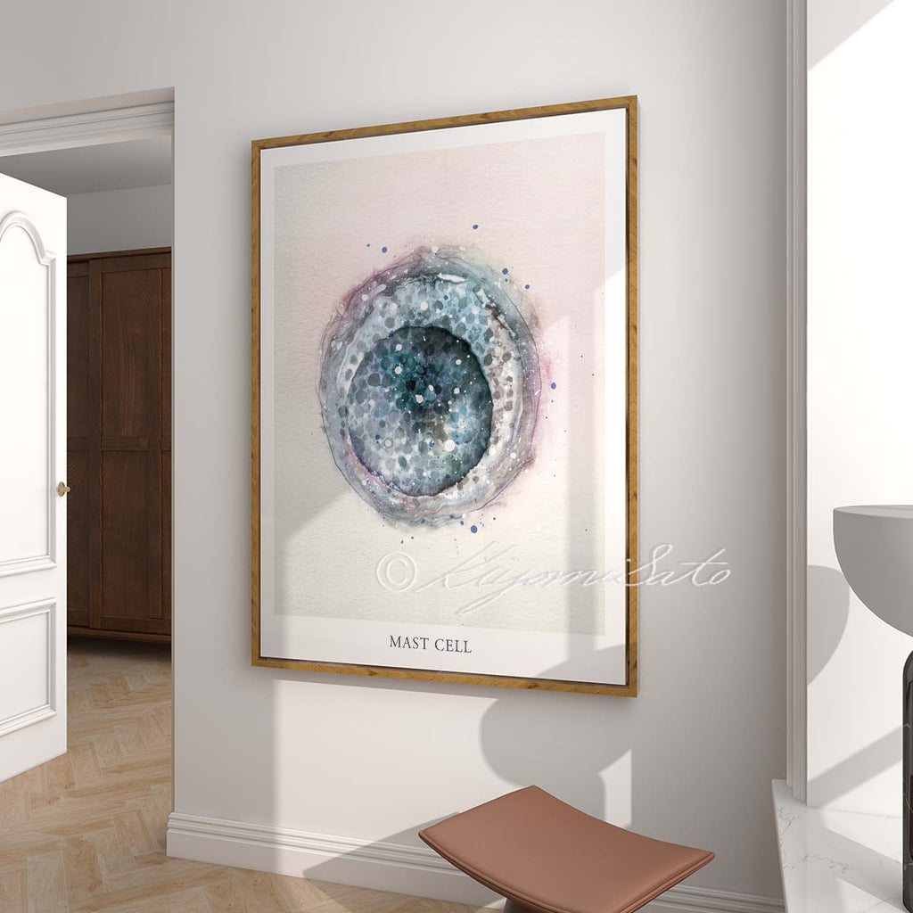 Mast Cell