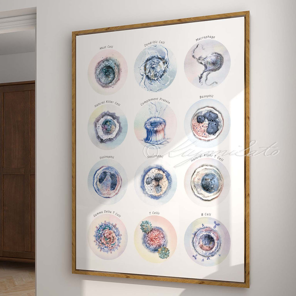 Immune System Collection Art