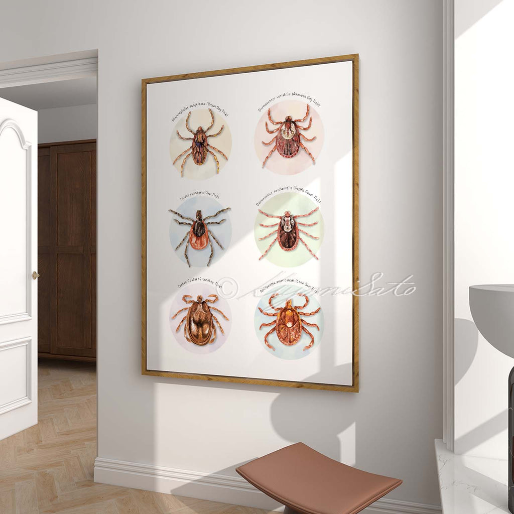 Tick Collection