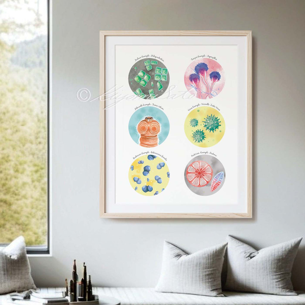 Six Types of Microorganisms Collection
