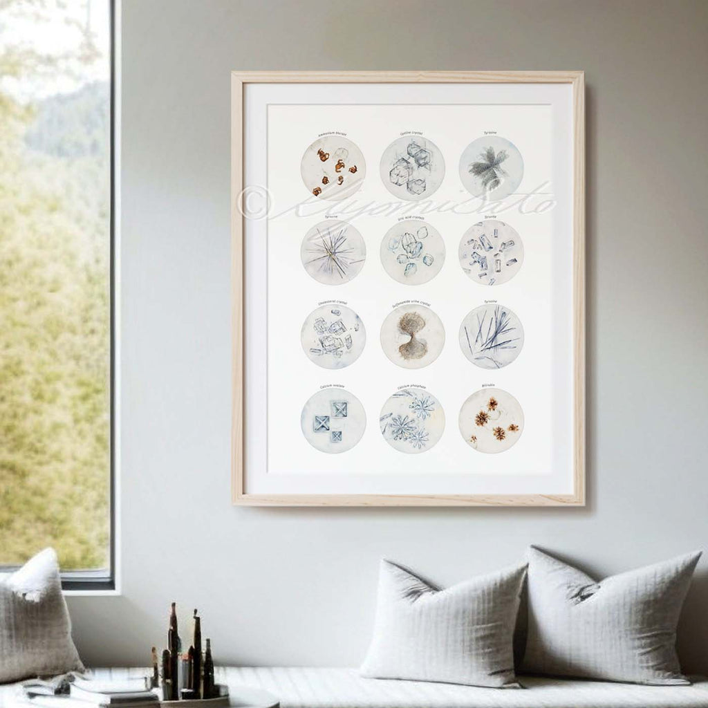 Crystals in Human Urine Collection, Science Art Poster
