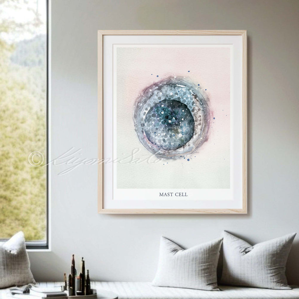 Mast Cell
